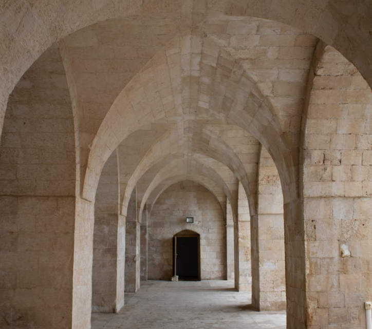 本科戰(zhàn)績(jī)