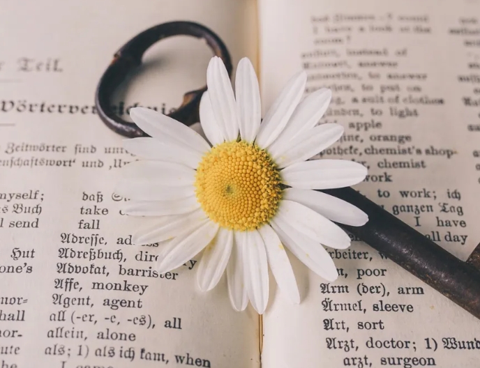 美國(guó)留學(xué)專業(yè)