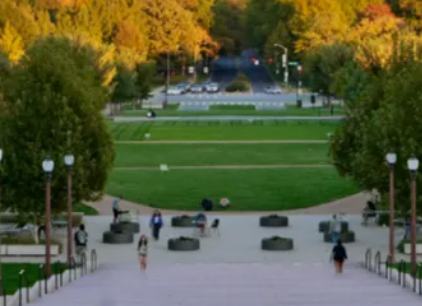 美本申請(qǐng)不定專業(yè)