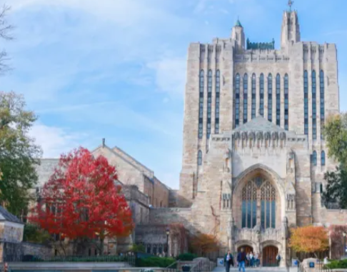 美國(guó)藤校2029屆新生數(shù)據(jù)